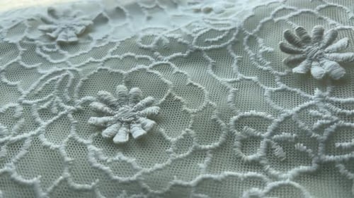 Delicate White Lace with Floral Pattern Close-Up