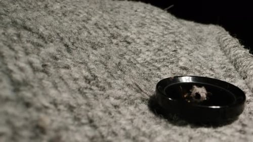 Close-up of Grey Fabric with Black Button