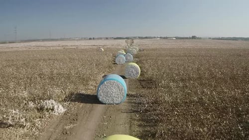 Fardos de algodón apilados almacenados después de la recolección - Emek Hefer Agriculture