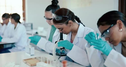 Young Adults Conducting Scientific Research in a Laboratory