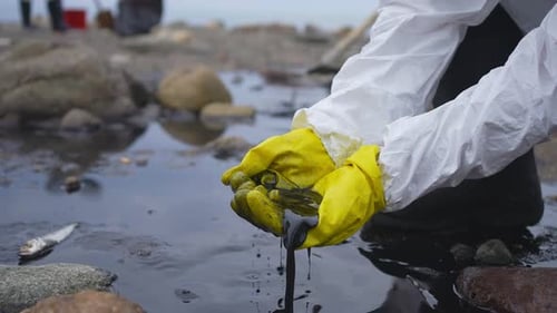 Volunteer's Hands the Problem of Oil Spill and Pollution on the Seashore