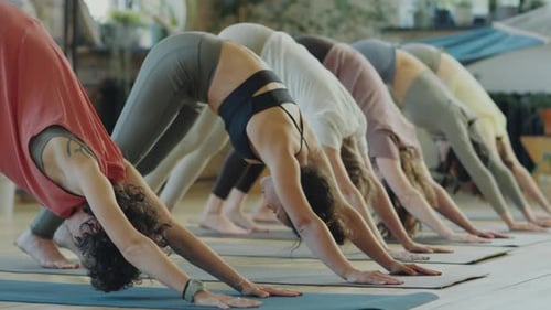 Yoga Class in Bright Studio Practicing Asanas