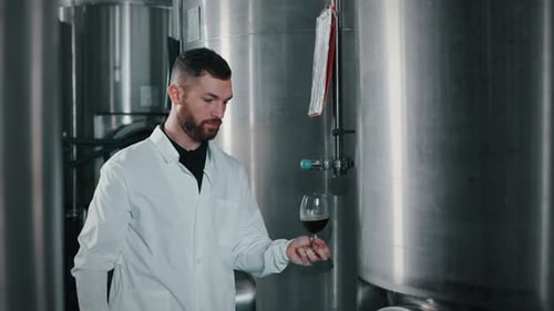 Brewery Worker Providing Quality Control of the Beverage