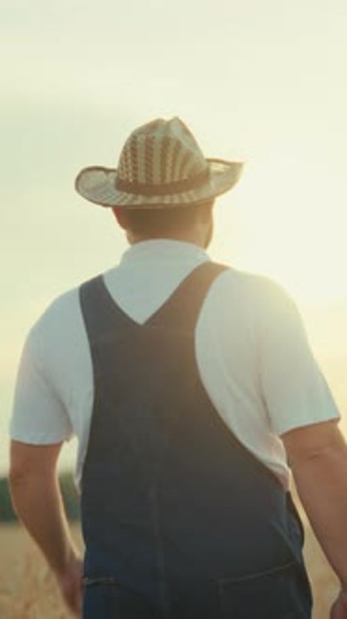 Countryman Examining Huge Golden Fields in Agricultural Region Back View of Farmer with Straw Hat on