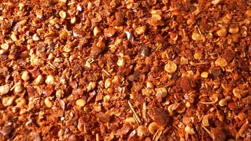 A close-up showcases a Ground chilli.