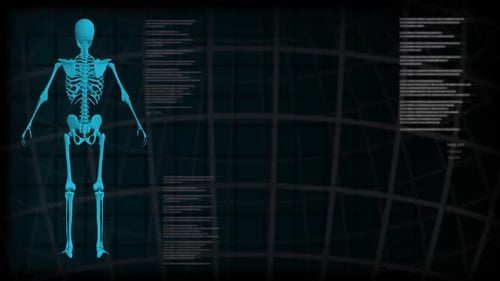 Futuristic Medical Scan of Human Skeleton