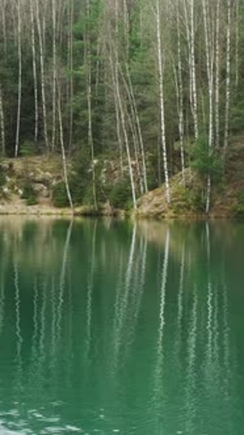Lake landscape with reflection in spring