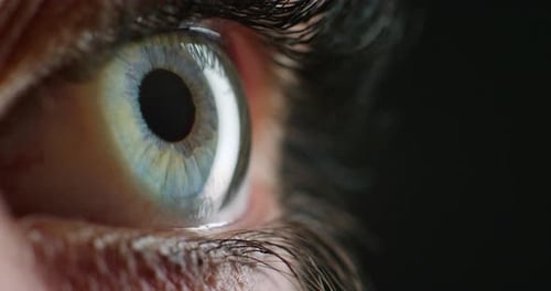 Grünes Auge, Nahaufnahme und Sehfokus mit Studiohintergrund für Werbung zur Sehpflege