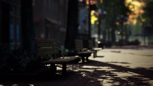 Dynamic Sunlight and Tree Shadows on Park Bench