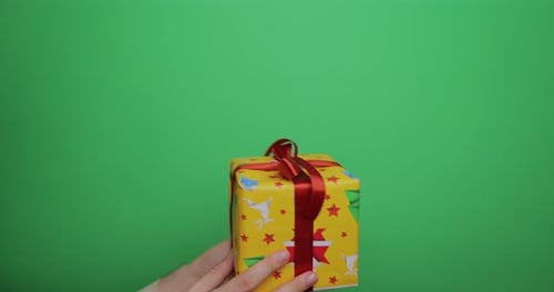 Close Up Man Hand Holds a Gift Box in His Palm Raise with Shaking and Lowers on the Background of a