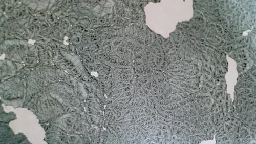 Pintura en polvo de aluminio, movimiento de convección de partículas de pigmento en acetona disolvente que simula la superficie del Sol
