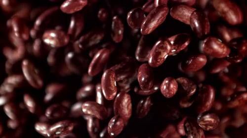 Red Beans Fly Up and Fall Down Filmed on a Highspeed Camera at 1000 Fps
