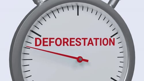 Animated Stopwatch Reversing Deforestation Countdown Loop
