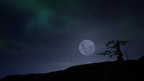 Animated Night Sky with Aurora Borealis, Moon, and Twinkling Stars