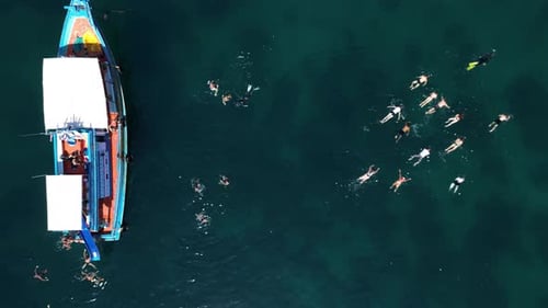 Aerial view of people snorkelling in shark bay on Ko Tao island, Thailand.