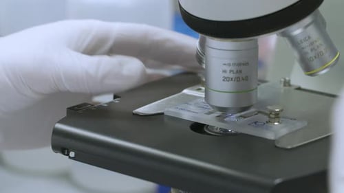 Gloved Hand Adjusts Slide on Microscope