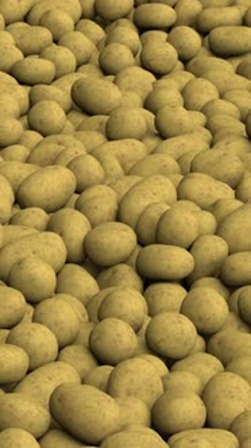 Flying Over Endless Potato Pile Loop