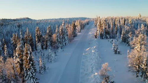 Aerial view sunrise shining over peaceful snow covered wintertime rural woodland road in Sweden
