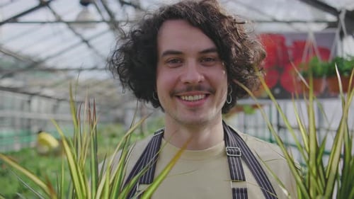 Young Man Florist in Apron Walking Among Rows of Flowers in Flower Shop or Greenhouse While Holding