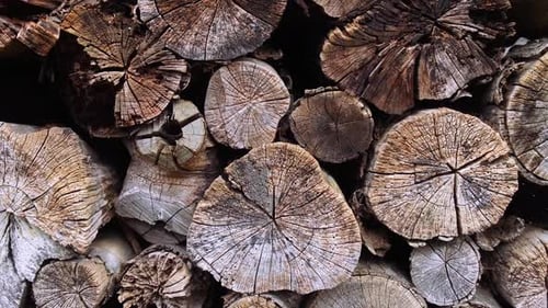 Fond de bûches coupées, tas de bois naturel, arbres, texture, troncs, bois, fond de bois, industrie du bois