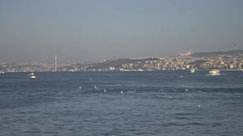 Pescadores pescando no Bósforo, Ponte Galata, com vista para o mar