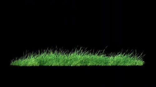 Grass Wind Loop on Alpha.