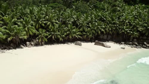 Mahe Seychelles, reveal shot of intandence beach, clients under the palm trees taking a rest