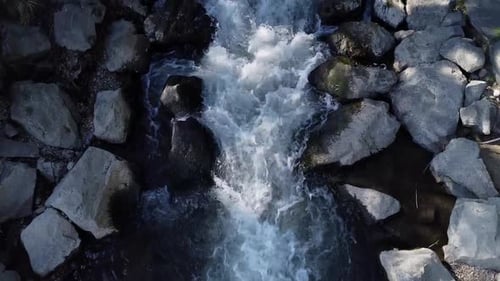 Fluss mit Steinen und Bäumen nebenan, Filmvorführung