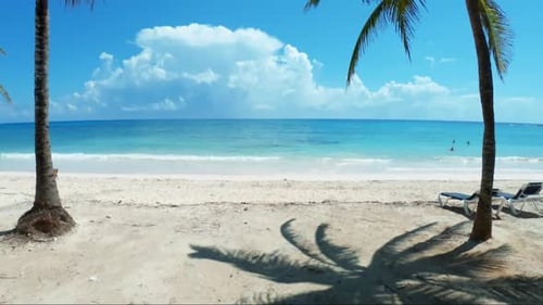 Gorgeous tilting up shot of a tropical beach with white sand, palm trees, and turquoise water on the