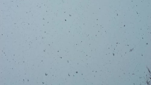Falling Snowflakes Gently Drifting Against Overcast Sky