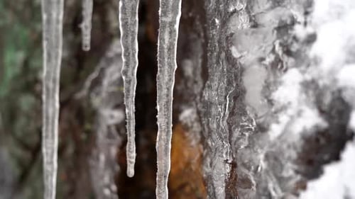 Icicles Hanging Down and Melting as the Day Warms - Beautiful Detail