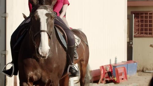 Training processYoung Teenage Girl Riding Bay Horse on Arena Equestrian School