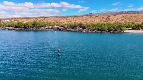 Aerial view of paddleboarding along clear coastline, United States.