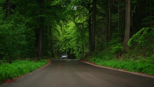 Solitary Car On A Road In The Green Forest