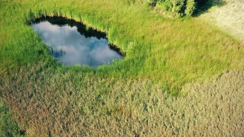Top view aerial flight over small lake of perfectly round shape. Moving up, clear turquoise water of