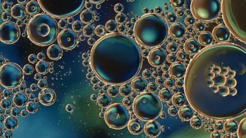 Abstract Colorful Food Oil Drops Bubbles And Spheres Flowing On Water A Surface 74