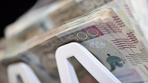 Polish Zloty Bills in Cash Counting Machine