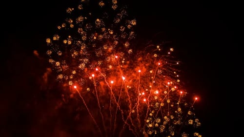 Brilliant Fireworks Display Exploding in the Night Sky