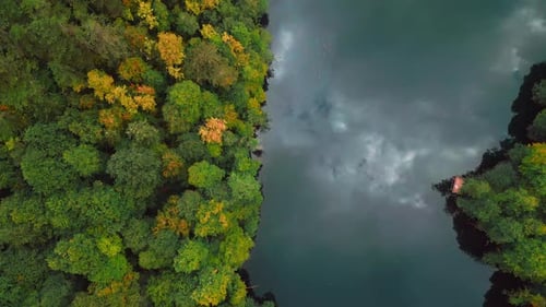 Autumn Forest and Lake - 2K