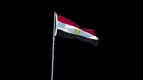 Waving Egyptian Flag Seamless Loop Animation