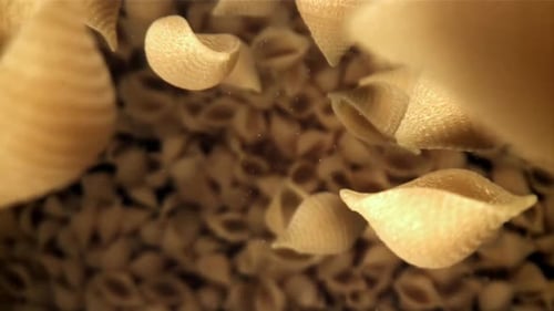 Conchiglie Pasta Falling in Macro Studio Shot
