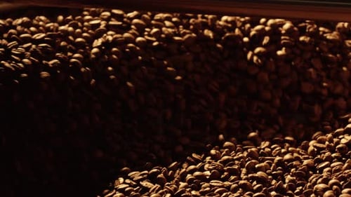 Coffee beans rotating in a roasting machine