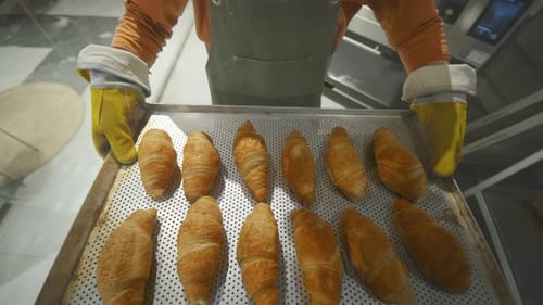 Close-Up of Baker in Gloves Carrying Tray of Freshly Baked Croissants in Kitchen