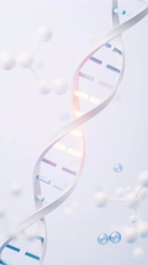 Animated DNA Double Helix Structure and Molecules Science Loop