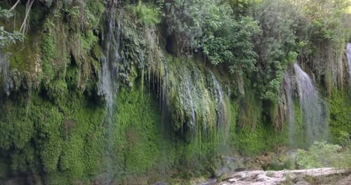 Morning at the waterfall with lots of plants under it, reflections in the water, 4k