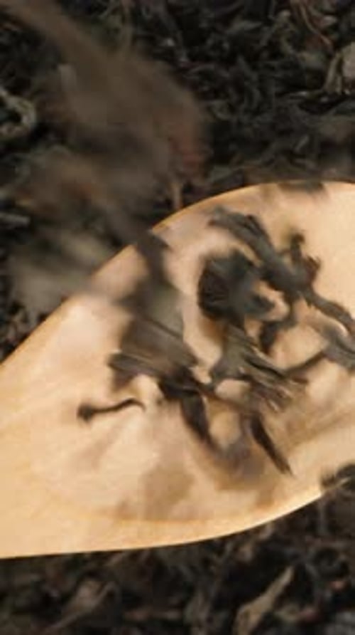 Vertical video. Dried Large Tea Leaves Fall onto a Wooden Spoon Against a Tea Background, Top View.