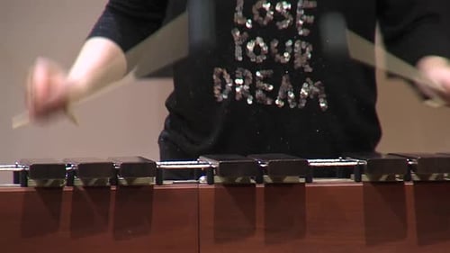 Playing Wooden Xylophone with Mallets