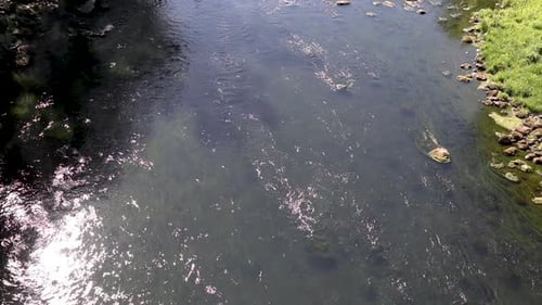 Luftaufnahme von fließendem Wasser in einem Fluss mit Steinen, Algen und Schatten