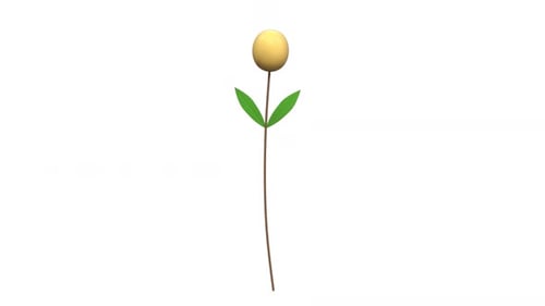 Clean 3D Animated Plant Growth Reveal