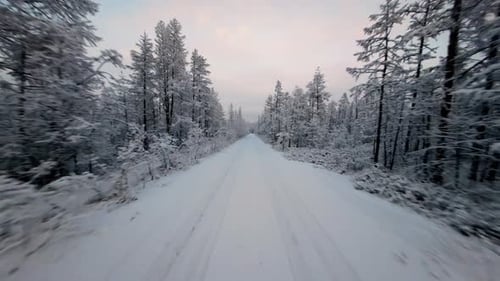 Snow-covered forest road in winter at dusk with tranquil atmosphere and beautiful scenery